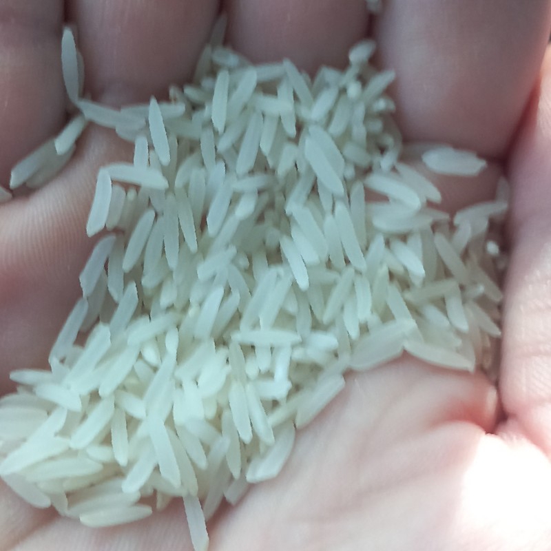 برنج فجر درجه یک